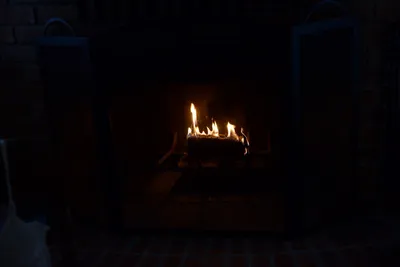 DSC_5502 (Large).JPG